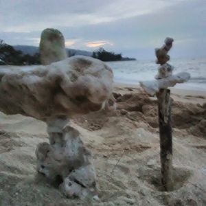 Meet your Posher, Colton